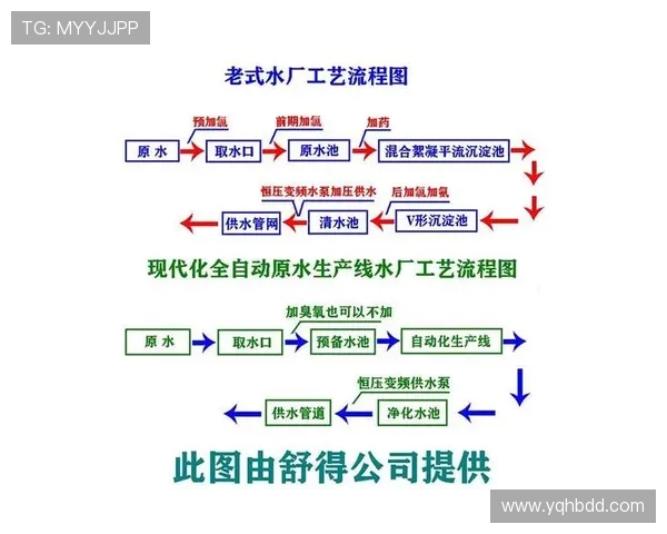 全球挑战赛分析LNG技术表现的优势与未来发展潜力