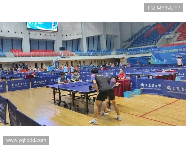 南京乒乓球队实力飙升再创佳绩助力中国乒乓球崛起新篇章