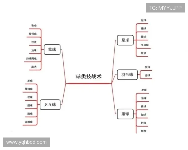 广州排球队的战术解析与控制能力深度剖析