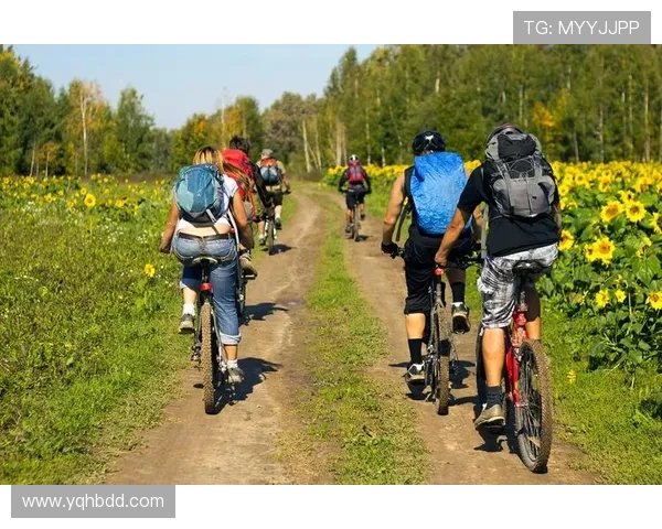 武汉街舞队在滑板精英赛中的逆袭之旅展现青春活力与团队精神 武汉街舞队在滑板精英赛中的逆袭之旅展现青春活力与团队精神