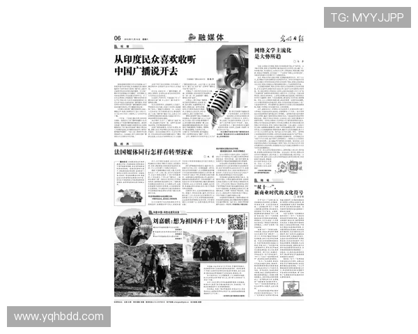 西安飞盘队的崛起与转型之路探索与反思